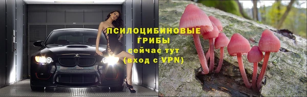 apvp Алзамай