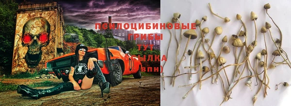apvp Алзамай