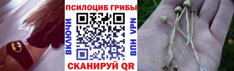 купить закладку  Муравленко  это формула  Псилоцибиновые грибы GOLDEN TEACHER 